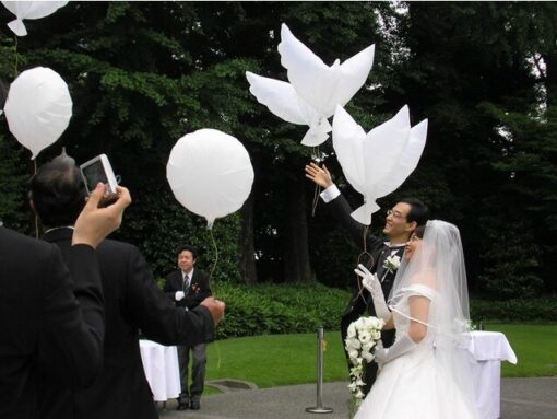 BL9 Balon Porumbel Alb - imagine 2