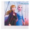 SRV6 Set 16 Servetele Elsa si Anna & Olaf