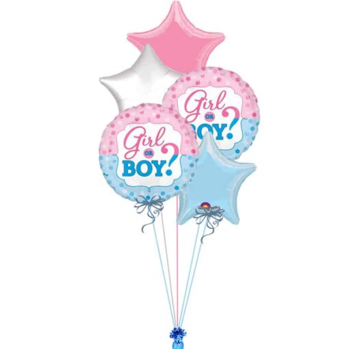 SET281 Set Baloane Baby Shower Boy Or Girl