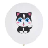 balon catel
